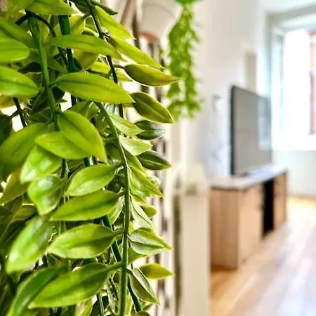 Hypercentre Standing Lumineux-2 Lits- Equipe