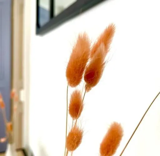 Hypercentre Standing Lumineux-2 Lits- Equipe Appartamento