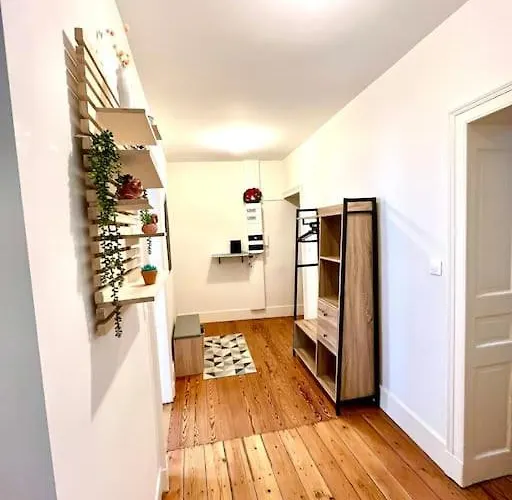 Appartamento Hypercentre Standing Lumineux-2 Lits- Equipe Albi